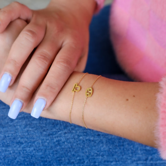 Pulseira Signo em Aço