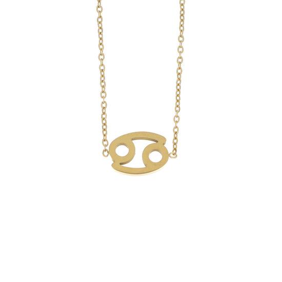 Colar Signo em Aço