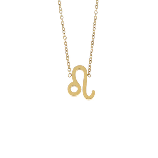 Colar Signo em Aço