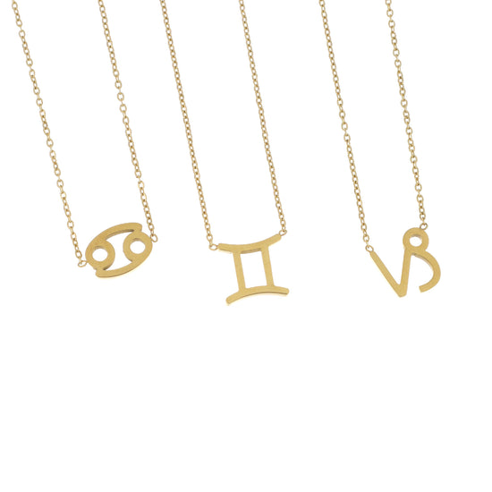 Colar Signo em Aço